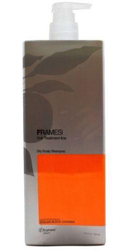 Framesi Hair Treatment Line Dry Scalp Shampoo